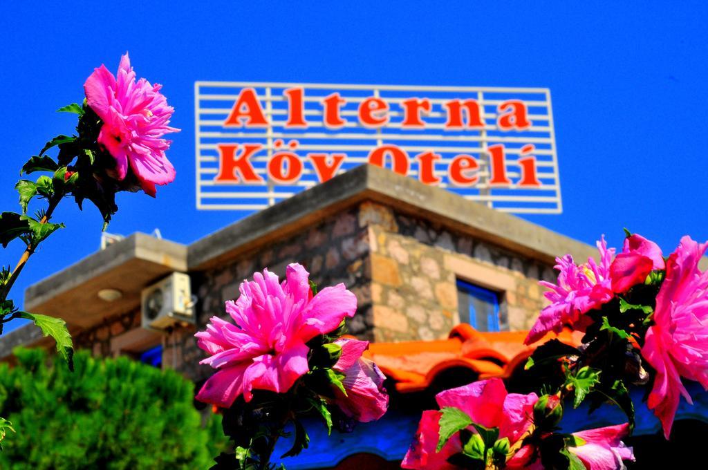 منزل الضيف Ayvacik  في Alterna Koey Evi المظهر الخارجي الصورة